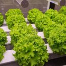 이부산농장 이미지