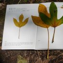 유니크환경 이미지