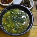 초당돼지국밥 | 생방송투데이 다슬기국밥 영동 황간 원조동해식당 올갱이 올뱅이 맛집