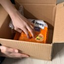 프리미엄캣 | 제품후기)클럽4포우즈 프리미엄 어덜트캣 인도어4in1 치킨 2kg_집고양이사료_가수분해 사료