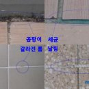 미드미가