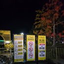 전남서부항운노동조합 | 🌼가을이 머무는 곳, 마산국화축제🌼”주차정보 팁!