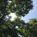 꿀밤농장 이미지