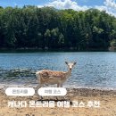 그리고7월 | 캐나다 몬트리올 여행 코스 기간 추천 + 7월 후기