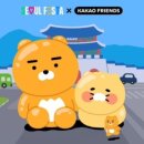 카카오드론 이미지