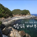 콜렌트카 이미지