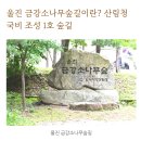 제514차 울진 금강소나무 숲길 석류굴 정기산행 예약란 이미지