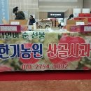 한기농원산골사과 이미지