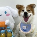 멍멍테라스 이미지