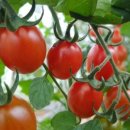 국희농장 이미지