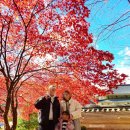 켄싱턴평창 | 켄싱턴호텔 평창 후기 ⑤ 가족여행 총정리 편