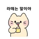 코코로나인 이미지