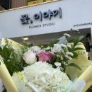 24시꽃 이미지