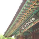 도심코스 이미지