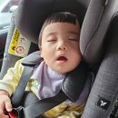 [롤리폴리:꼬마 파티시에의 빵가루 놀이] 홈플러스 문화센터 특강 후기