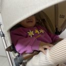 유모차카시트세탁 이미지