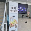 씨유충주문화센터 | 충주 아이와 가볼만한 곳 | 충주 아쿠아리움 7세 아이와 무료입장 솔직 후기