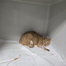 다온식육식당 | 2025.11