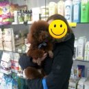 동래종합동물병원 이미지