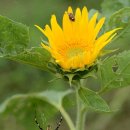 공치는날 이미지