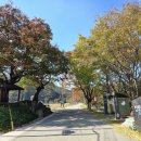 검단2리 이미지