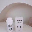 수수하개 이미지