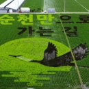 그림뜰아트