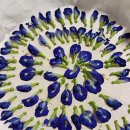 풍금로L 이미지