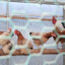 현인농장 이미지