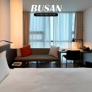 신라스테이 해운대 호텔 | 부산 호텔 추천 신라스테이 해운대 가성비 좋은 숙소 주변 즐길거리