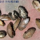거제도 전복(全鰒)과 해남해녀