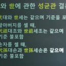 성균관 결론, 代(대)와 世(세)의 차이 이미지