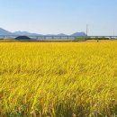 더베이호텔앤풀빌라 이미지