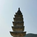 김재 Daum카페