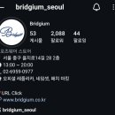 브릿지움(Bridgium)