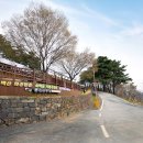 소백산자연휴양림 네이버블로그