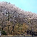 정발산공원 화장실-2 이미지