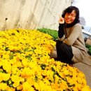 두촌면사무소 이미지