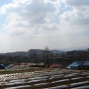 고향의 봄 - 용와산 산행 이미지