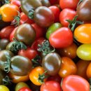 오색슈퍼 이미지