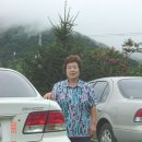용우네 이미지