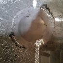 애니카랜드양덕점 이미지