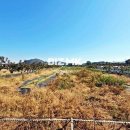 공주토지공인중개사사무소 이미지