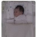 더 올리비에르 산후조리원