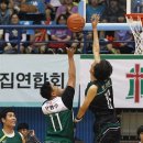 살아있네 이미지