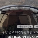 펫더헤븐 이미지