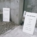 첨 | 수원역 카페 감성카페 언올드첨 an old chum 솔직 후기