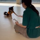 털로덮인 친구들 커먼그라운드점 이미지