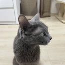 여수자매로캠핑장 이미지