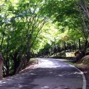 한천자연휴양림 이미지